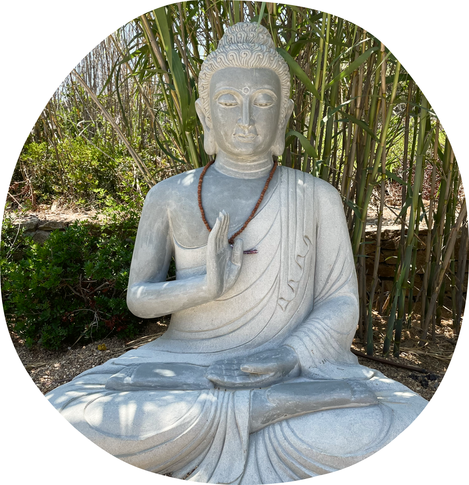 Hatha Yoga ❍ Maria Maleviti