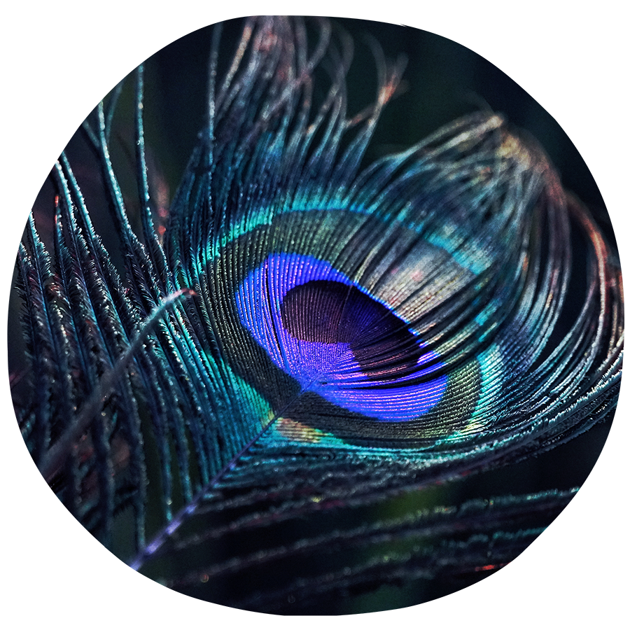 Hatha Yoga ❍ Maria Maleviti