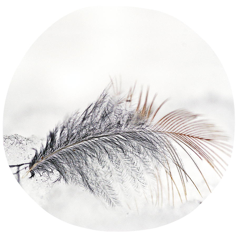 Hatha Yoga ❍ Maria Maleviti