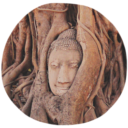 Hatha Yoga ❍ Maria Maleviti