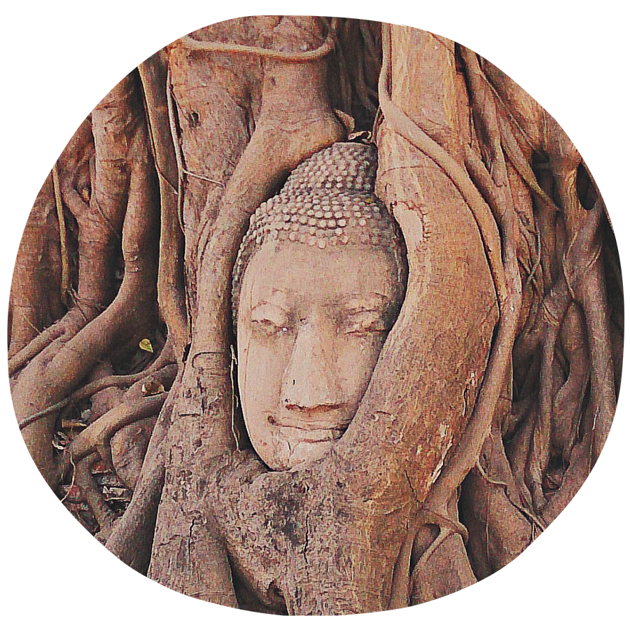 Hatha Yoga ❍ Maria Maleviti