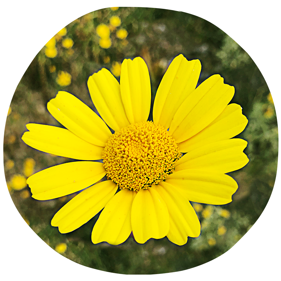 Hatha Yoga ❍ Maria Maleviti