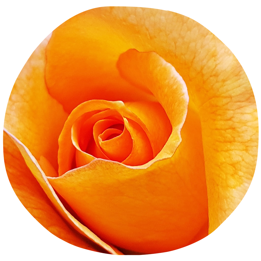 Hatha Yoga ❍ Maria Maleviti